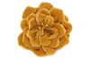 Our Kennedy velvet flower hair clip is dressy and perfect for all the fall events, shown in old gold on a velvet gator
