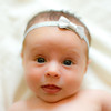 Becca. Sparkly Baby Bow Headbands. Gold or Silver.