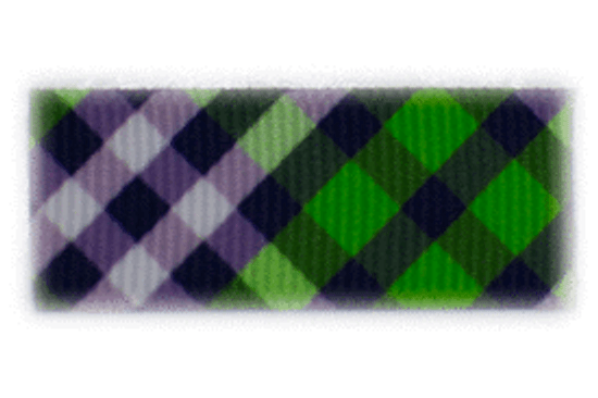 Navy, Emerald Green, and White Plaid Hair Clip