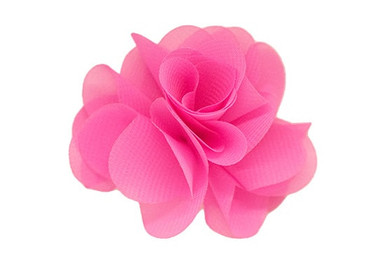 hot-pink-molly-flower-baby-