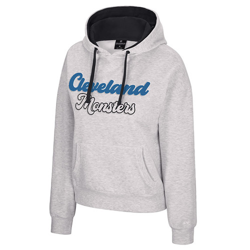 Women's Gray Script Wordmark Hoodie