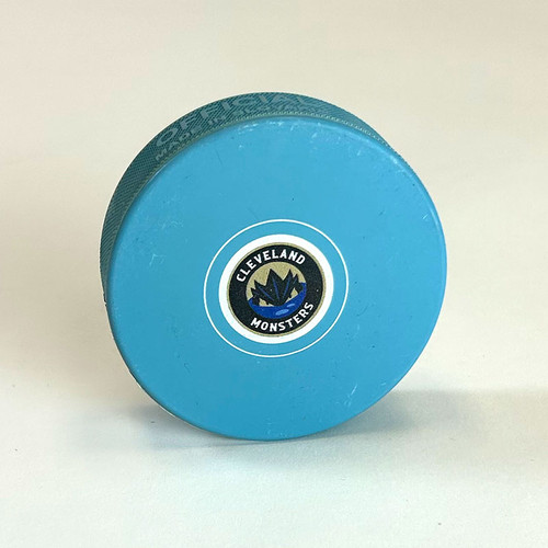 Primary Icon Blue Puck