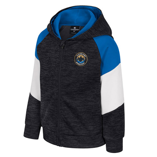 Toddler Primary Icon Colorblock Full Zip Hoodie