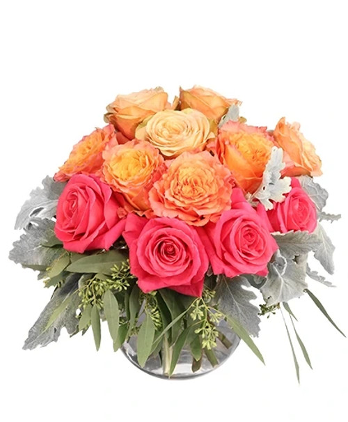 There’s nothing sweeter than this striking bouquet! Much like its namesake, vibrant hues of orange and pink trickle down this delightful arrangement. Sweet Peach Sorbet is a delightfully vibrant rose mix, one they’ll be tickled to get!

Copyright content provided by FlowerShopNetwork.com