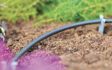 Hozelock 2772 0025 Supply Tube 4mm – 25m Micro Irrigation Pipe for Garden Watering Systems FTB12575 5010646060769