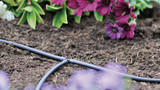 Hozelock 2772 0025 Supply Tube 4mm – 25m Micro Irrigation Pipe for Garden Watering Systems FTB12575 5010646060769
