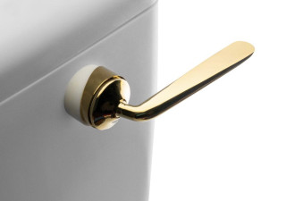 Fluidmaster 22120 Gold Effect Luxury Cistern Lever – Universal Front-Mounted Toilet Handle FTB13184 5011629016995