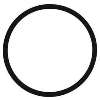 Ideal Standard A963154NU O-Ring 31,47 x 1,78 FTB10258 3800019294738