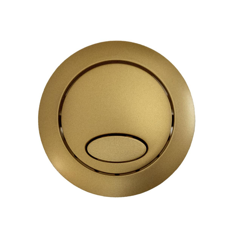 Fluidmaster Brushed Brass Flush Button for PR550 800P-026-P250 FTB13213 5011629030410