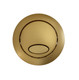 Fluidmaster Brushed Brass Flush Button for PR550 800P-026-P250 FTB13213 5011629030410