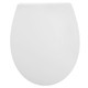 Wirquin Everest white seat & cover with top fix, stainless steel, slow close, quick release hinge 20120729 FTB13629 5017134149234