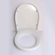 Sottini Secrets Swirl Toilet Seat and cover - soft Close close hinges E311401 FTB3063 5017830391197