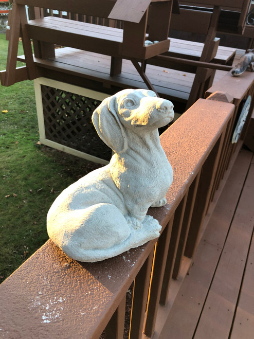 Sitting Dachshund