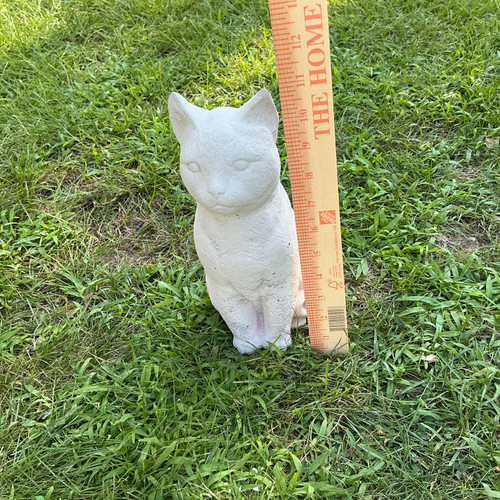 Sitting Cat.