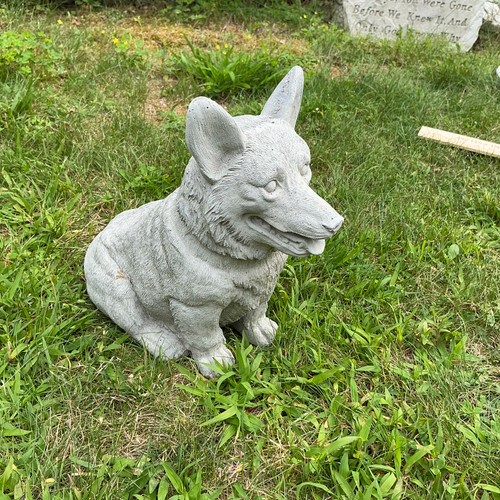 Corgi