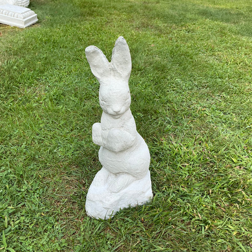 Standing Rabbit