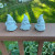 Gnome Trio, See, Hear, Speak No Evil, 4'' Tall