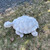 Lg. Turtle