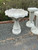 Md. Tulip Bird Bath