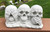 See No Hear No Evil Skull Trio Statue