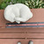Rabbit Napping