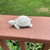 Miniature Turtle