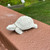 Miniature Turtle