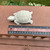 Miniature Turtle