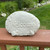 Welcome Rock