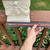 Square Cherub Planter