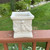 Square Cherub Planter