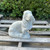 Basset Hound