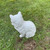 Sitting Cat..