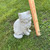 Sitting Cat..