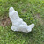 Relaxing Gnome