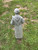 St. Francis