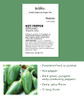 Burpee Early Hot Non-GMO Planting | Heirloom Jalapeno Pepper Variety | Certified Vegetable Home Garden, 125 Organic Seeds