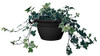 The HC Companies 12 Inch Eclipse Hanging Planter for Indoor Plants - Round Plant Hanging Basket with Removable Saucer, Black