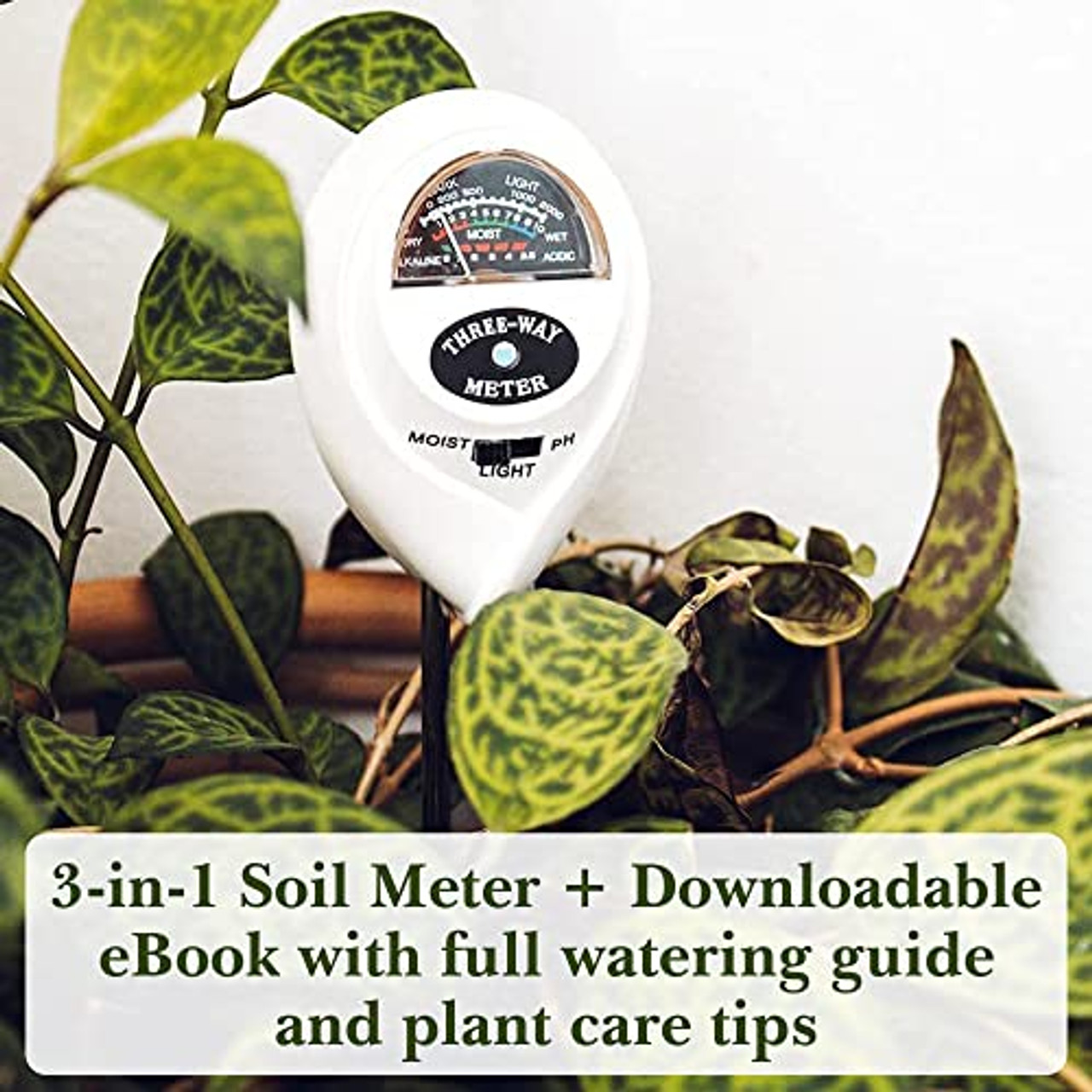 Classy Casita - Moisture Meter (default)