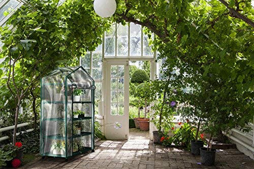 Home-Complete Mini Greenhouse-4-Tier Indoor Outdoor Sturdy