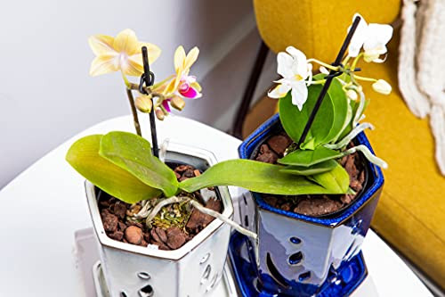 rePotme 4 x 6 inch Hexagon Ceramic Orchid Pot with Holes (Midnight