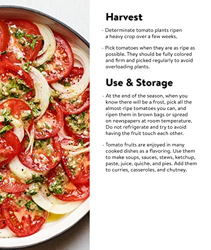Burpee Celebrity Tomato Seeds - Thumbnail 4