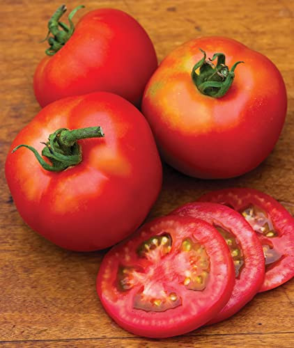 Burpee Bush Early Girl Tomato - Thumbnail 2