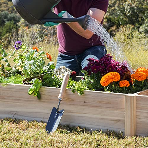 AMERLIFE Raised Garden Bed 8x2 FT Wood Raised Garden Bed Kit