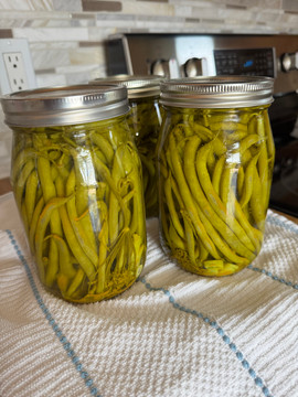 How to Make Crunchy Homemade Dilly Beans (Easy Pickled Green Bean Recipe)