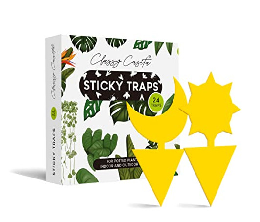 Classy Casita Sticky Traps- House Plant Sticky Stakes, Plant Bug Sticky Traps Indoor, Sticky Gnat Traps for Plants, Yellow Sticky Traps for Flying Plant Insect, 24-Pack Plant Sticky Traps