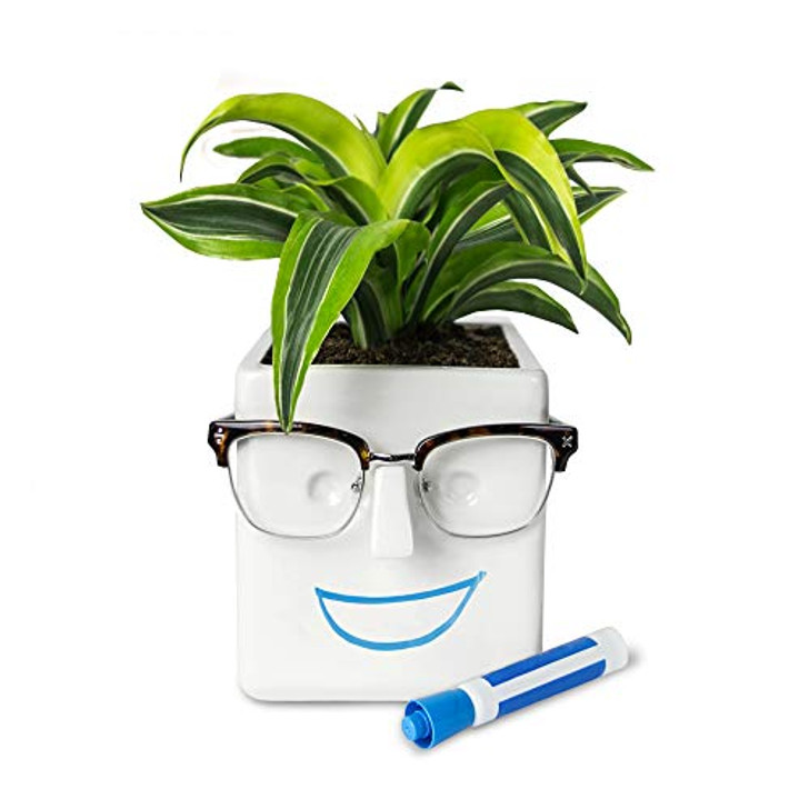 30 Watt Face Plant, Novelty Planter Holds Small Plants, Glasses & You Can Draw on It. Elegant Ceramic Pot for Succulents, Cacti or Your Average Fern, Perfect Gifting-1675435711