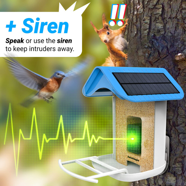 Sainlogic Free AI Smart Bird Feeder with 1080P HD Camera, Camera Bird Feeder Identify Bird Species with 2 Solar Panels, Video Bird Feeder with WiFi & Motion Detection, Smart Bird Feeders as Gifts