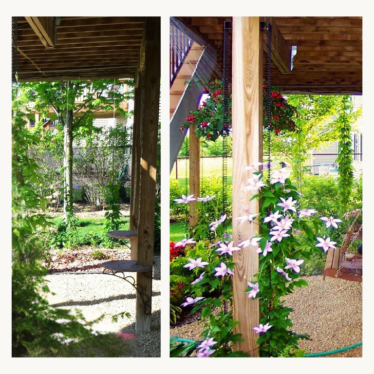 Narrow Trellis for Deck Posts and Flat Sided Mailbox Posts, HDPE Mesh for Clematis and Vines,108 in x 4 in Support That Anchors Wide Climbing Plants, Scroll Trellis, 1 Pack