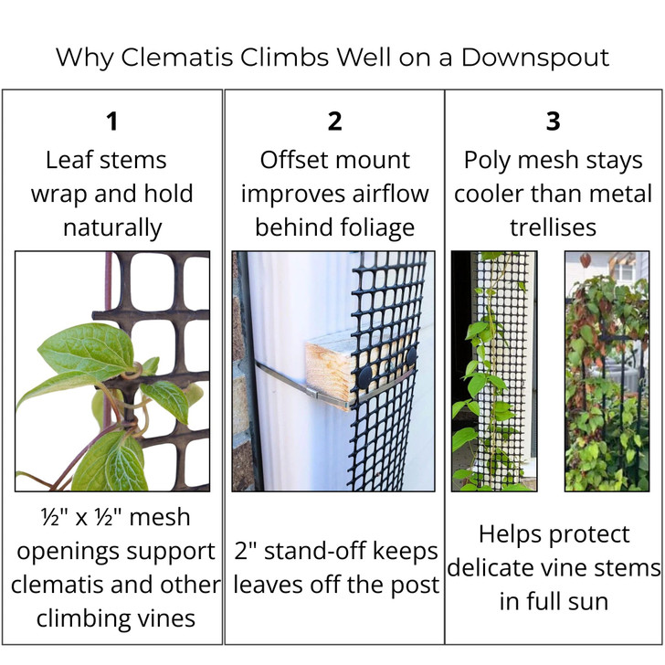 Downspout Trellis 9 ft x 4 in Plant Support That Anchors Wide Climbing Plants, Mounts to Rain Gutters, HDPE Mesh with Mounting Hardware for Clematis and Vines, Scroll Trellis 1-Pack